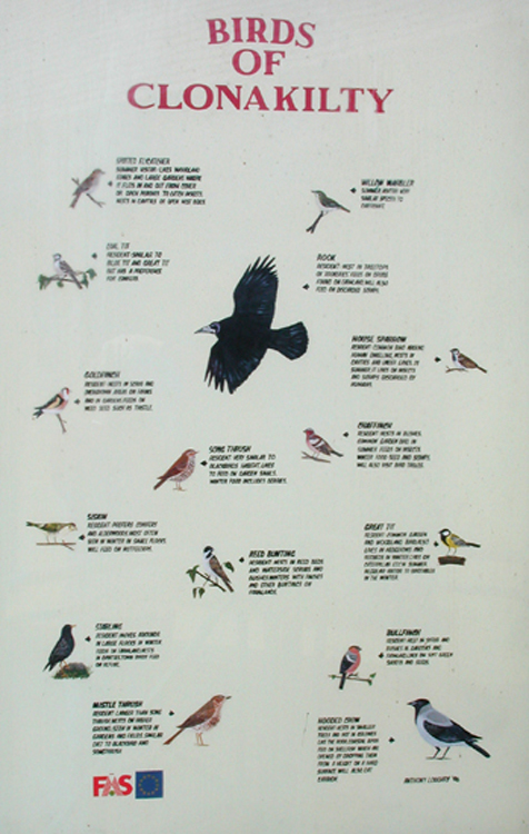 Birds of Clonakilty.jpg 257.1K